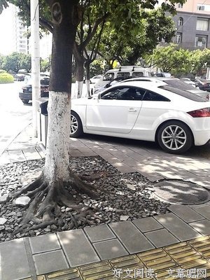 关于狐假虎威的名言