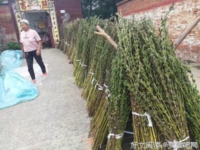 看完，我又想家了