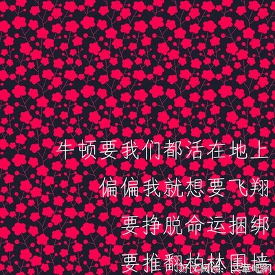 最全的五月天精彩语录