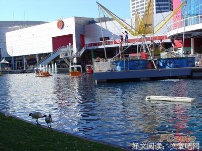 悉尼的读后感10篇