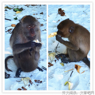 泰国普吉岛翻船事故：惊魂之旅何以成行，其实比你想的更危险