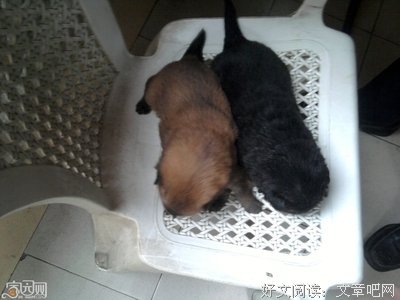心安，人便安