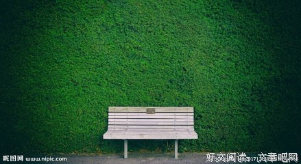 林荫 | 空椅子