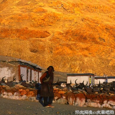 《藏北人家》的观后感10篇