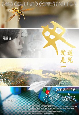 《我的影子在奔跑》经典读后感10篇
