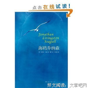 《忍得下孤独，飞得上云霄》经典读后感10篇