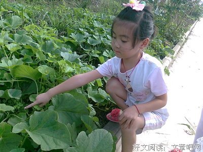 异地上大学的四年，这是我最大的收获