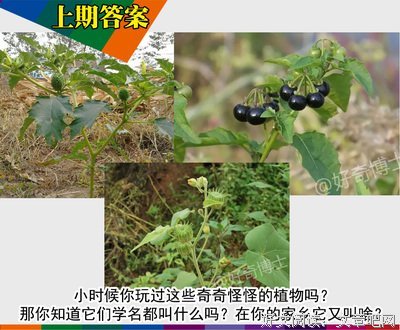 紫微测字：测测下半年会有什么好运等着你