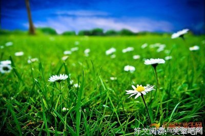 郑播德的语句摘抄_关于郑播德的语句