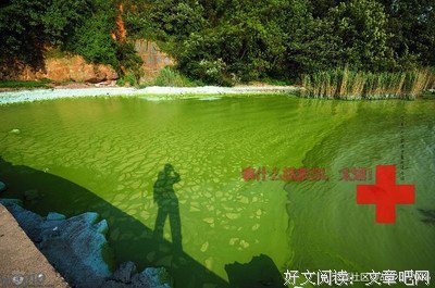从“算命”到“改命”，命运究竟是什么？