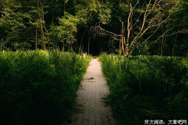 沏一壶月色，与君共饮（康有山）