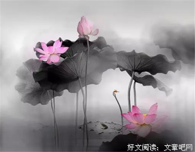 看清一个人，何必揭穿他