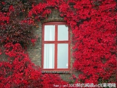 夏在窗外，人在窗内