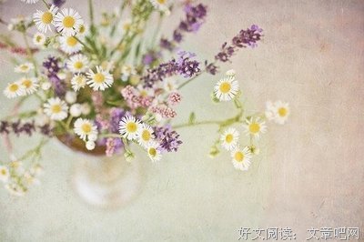 关于寺山修司的唯美语录