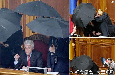 想和你在一把伞下淋雨