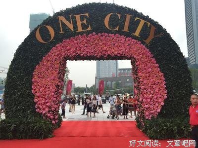 《海德女士》的观后感10篇