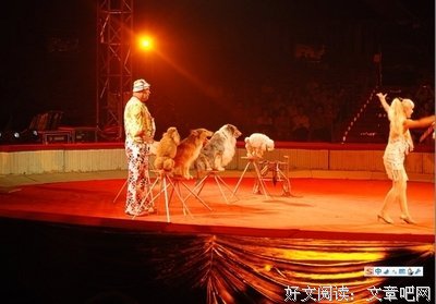 《节食王国》好看吗？经典观后感10篇