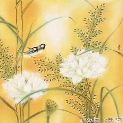 阴历、阳历、农历到底有什么区别？这次终于分清了