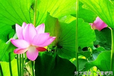 描写一尘不染的经典句子
