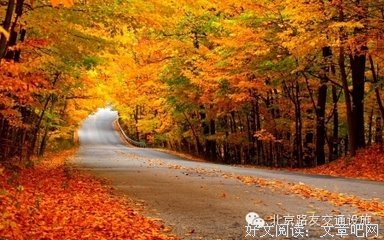 做人别太狂，迟早会受伤！（针针见血）