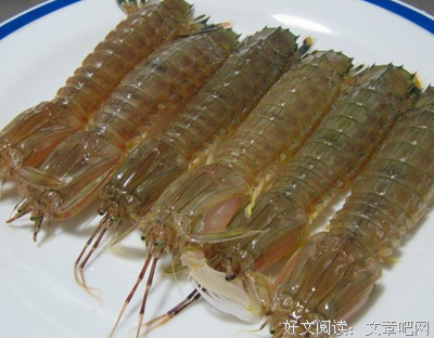 被人这么骂，我们忍不了了！