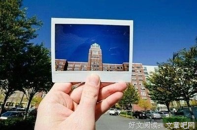 秋叶一雨经典语录