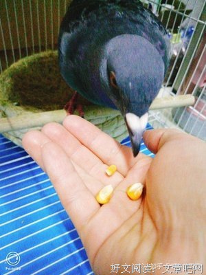这辈子一定要有的6样东西，你有几样？