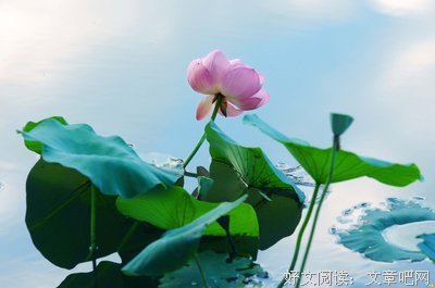 关于力所不及的语句