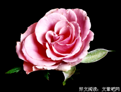 关于无理的座右铭