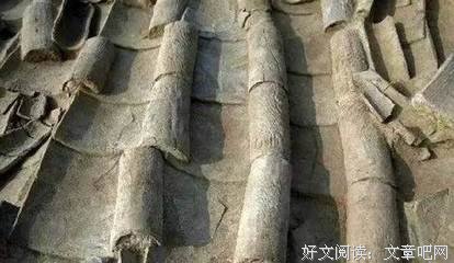 中国在梁庄经典读后感10篇