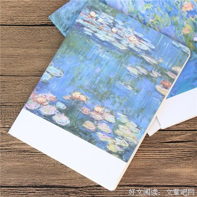 《莫奈和他的眼睛》的读后感10篇