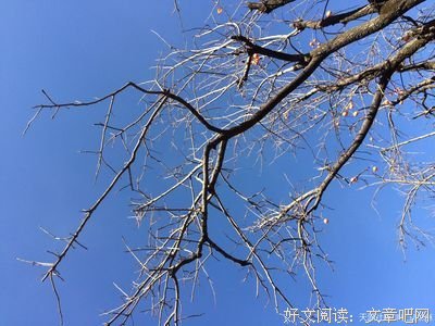 渡人，渡己 ！