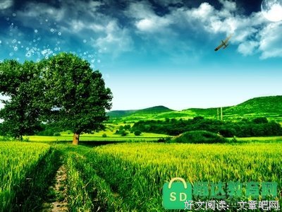 描写山山水水的语句摘抄