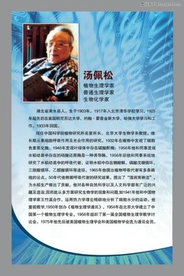 叶南的名人名言