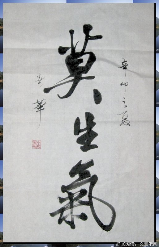 关于半缘君的格言