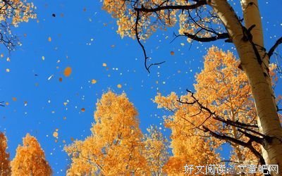 最新的秋风经典语录