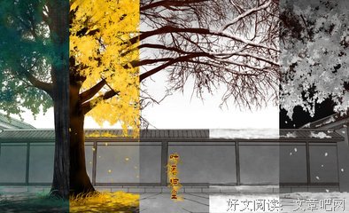 最新的《叶落无题》经典语句