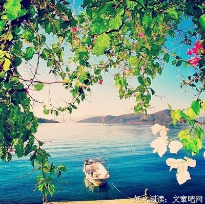 最全的《承欢记》小说句子