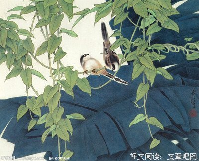 缘