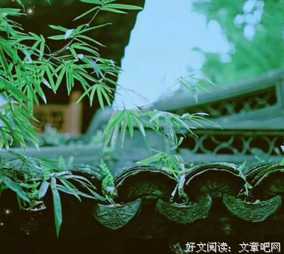 关于走极端名言名句