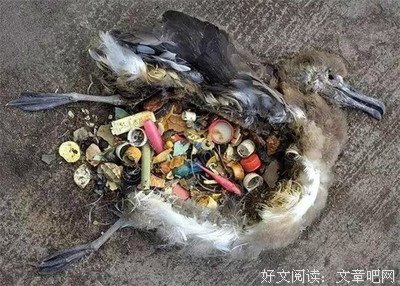 英国女王突然宣布：向全人类公敌宣战，中国网友表示全力支持...