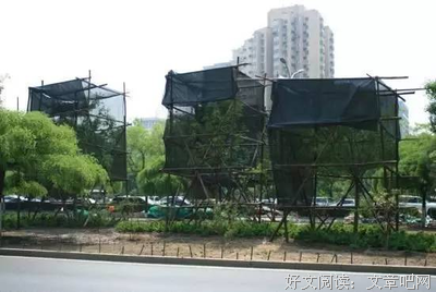 干货| 什么都懂的人，是怎么练出来的？