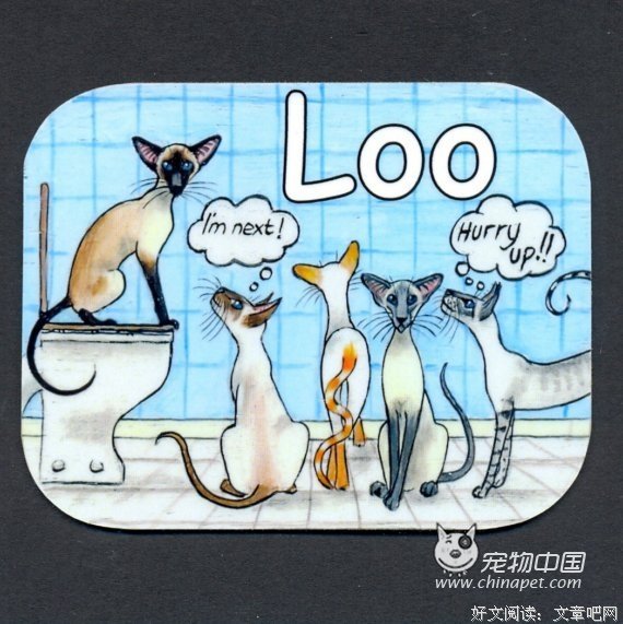 暹罗的语句摘抄_关于暹罗的语句