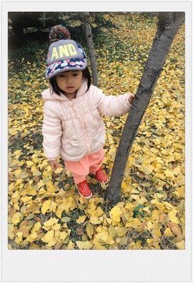 最新的《妞妞》经典语句