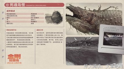 《小乃海苔便当》经典观后感10篇