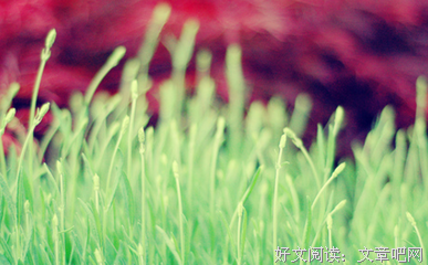 那些不会哄女朋友的男生，都死了！