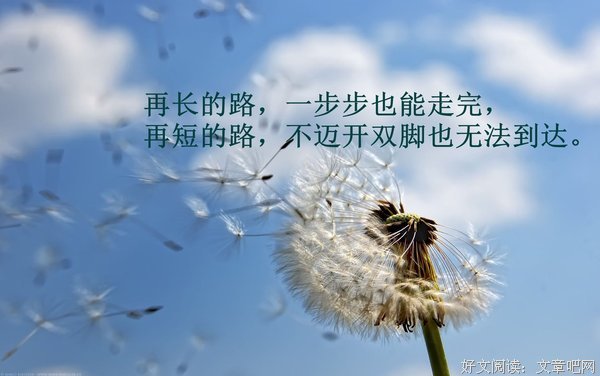 关于精美绝伦的唯美语录