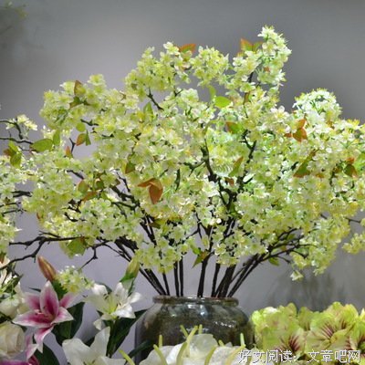 一诗一评：《梨花》
