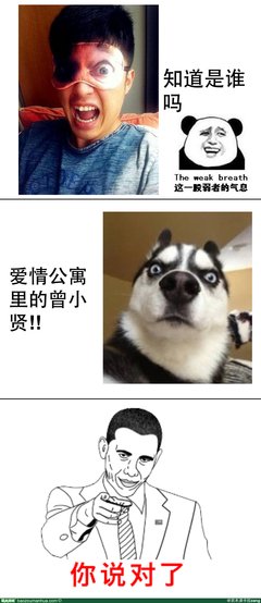 关于卡拉名言名句