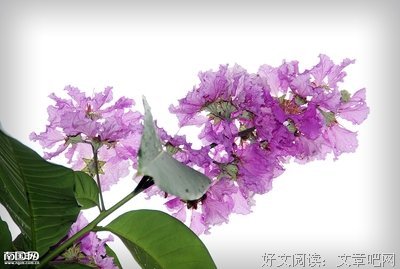 甄灵灵：安静如我